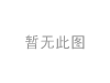 發(fā)動機(jī)支架膠墊 Engine Mount:204 240 61 17