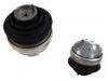 發(fā)動機(jī)支架膠墊 Engine Mount:203 240 19 17