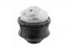 發(fā)動(dòng)機(jī)支架膠墊 Engine Mount:211 240 26 17