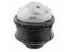 發(fā)動機(jī)支架膠墊 Engine Mount:211 240 27 17