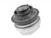 發(fā)動機(jī)支架膠墊 Engine Mount:202 240 13 17