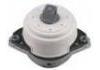 發(fā)動機(jī)支架膠墊 Engine Mount:166 240 79 17