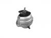 發(fā)動機(jī)支架膠墊 Engine Mount:22 11 6 769 874