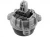 發(fā)動機(jī)支架膠墊 Engine Mount:22 11 6 786 528