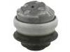 發(fā)動(dòng)機(jī)支架膠墊 Engine Mount:211 240 05 17