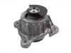 發(fā)動機支架膠墊 Engine Mount:447 241 00 13