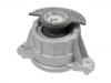發(fā)動機支架膠墊 Engine Mount:207 240 03 17